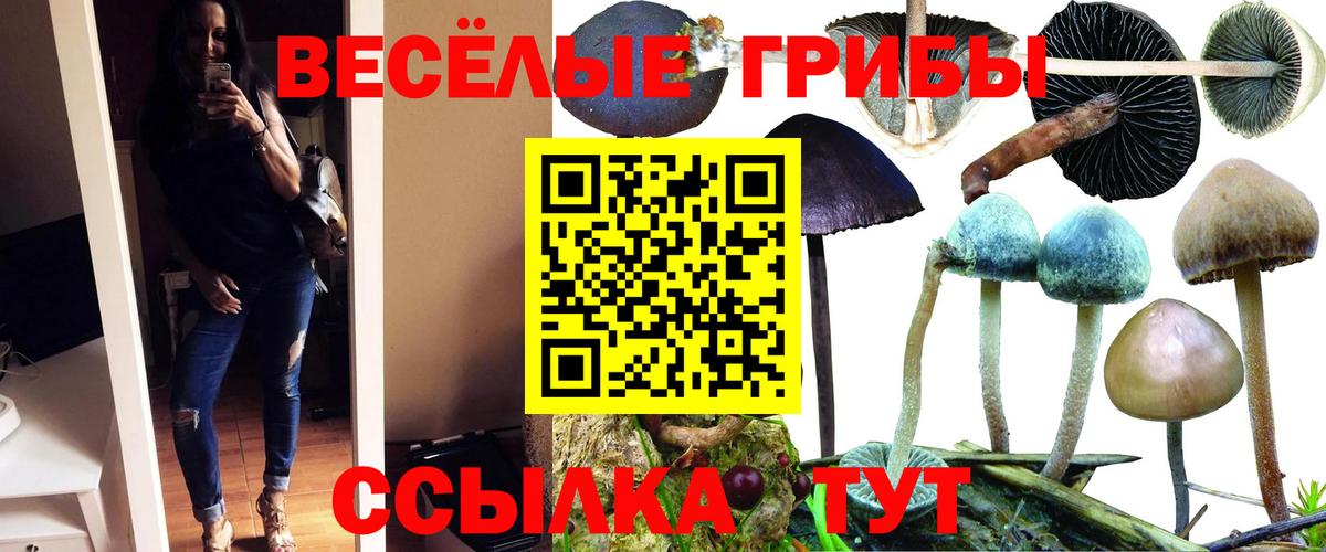 Псилоцибиновые грибы прущие грибы  Вход с VPN  Каменск-Шахтинский 
