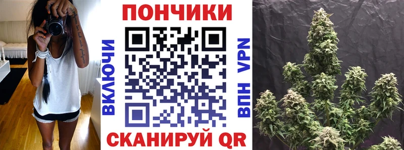 купить наркотики сайты Каменск-Шахтинский Шишки марихуана сатива