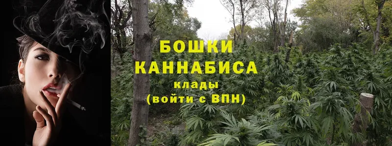 закладка  Каменск-Шахтинский  Конопля Bruce Banner 